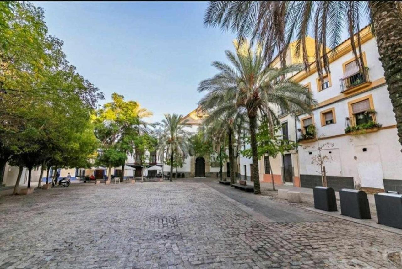 Apartamento Centrico Corredera Córdoba Exteriér fotografie