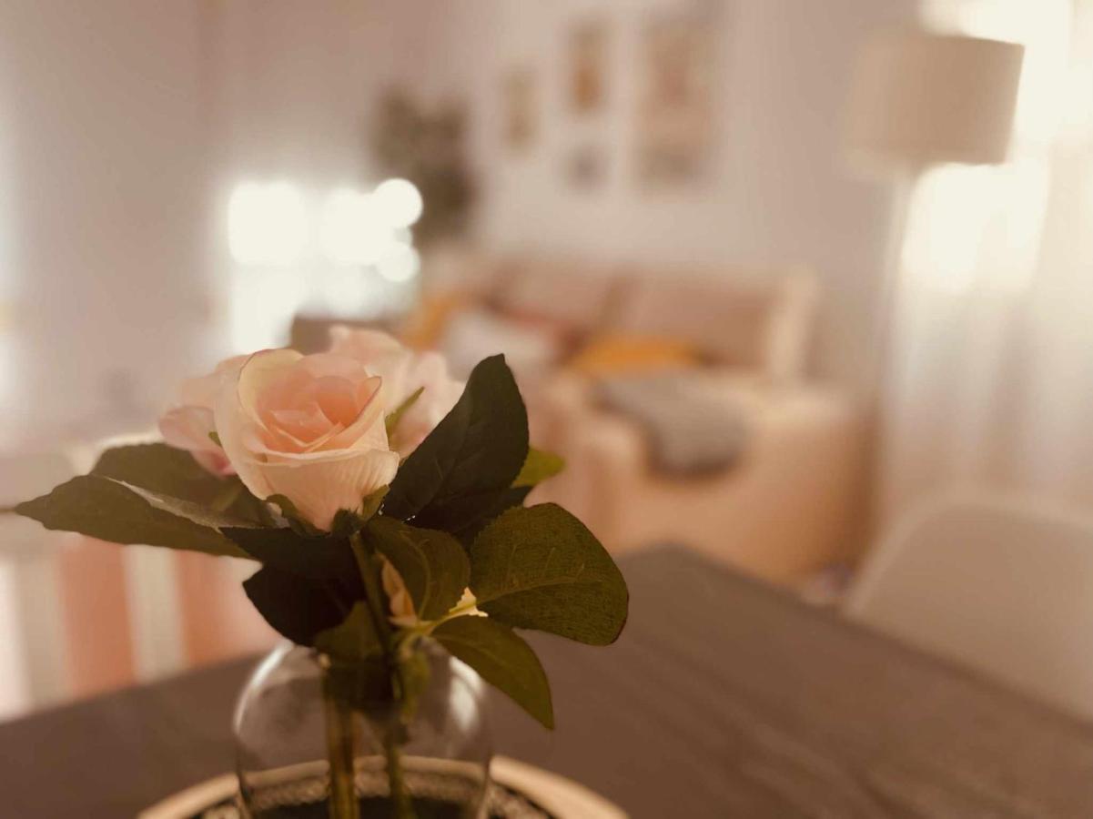 Apartamento Centrico Corredera Córdoba Exteriér fotografie
